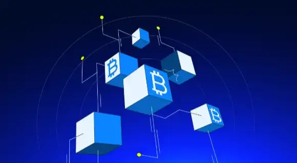What Is a Crypto Node?